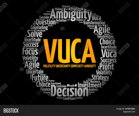 VUCA