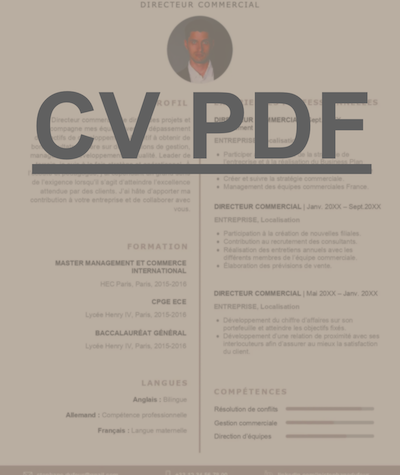 CV PDF